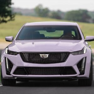 Gloss Misty Gray Purple